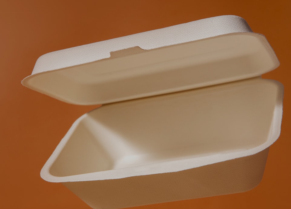 Ланч боксы одноразовые